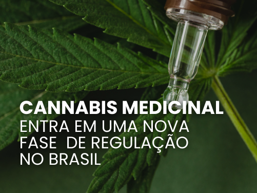 Novo marco regulatório e cannabis medicinal: o que muda na prática?